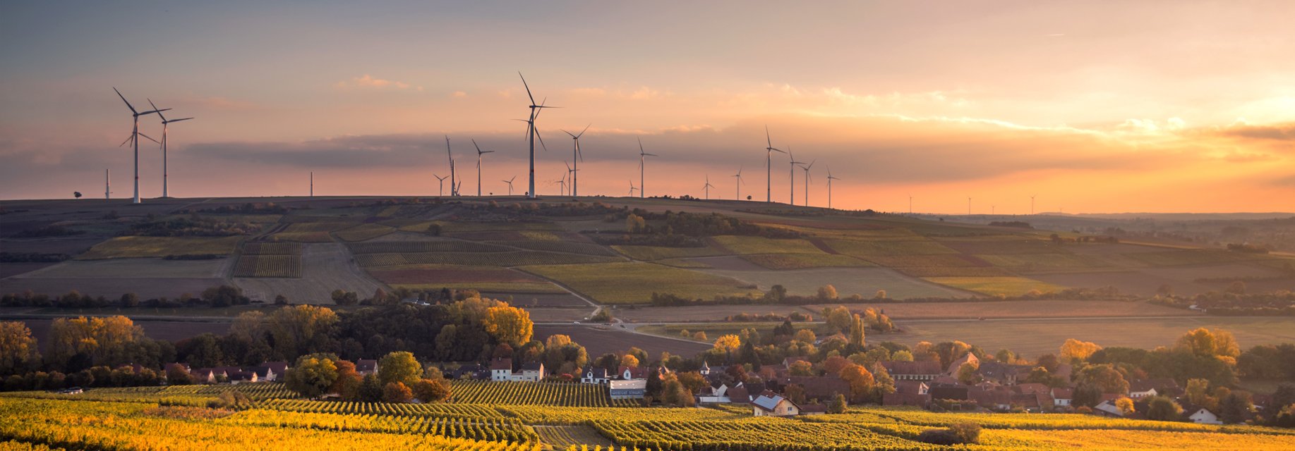 Climate Leadership in the Middle East Calls for a Just and Fair Net Zero Transition