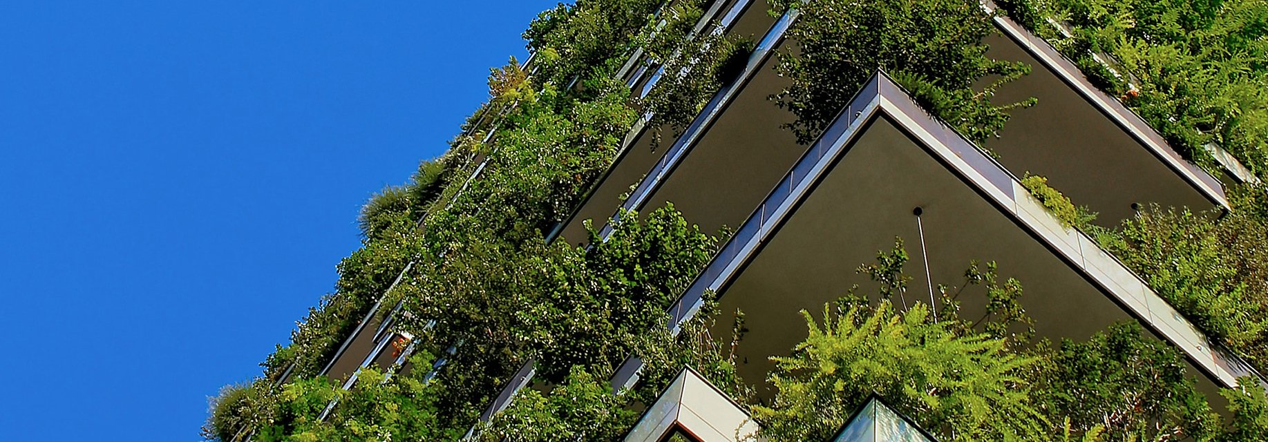 Four Steps to LEAD on Sustainability: MENA Organizations Must Turn Promises Into Action
