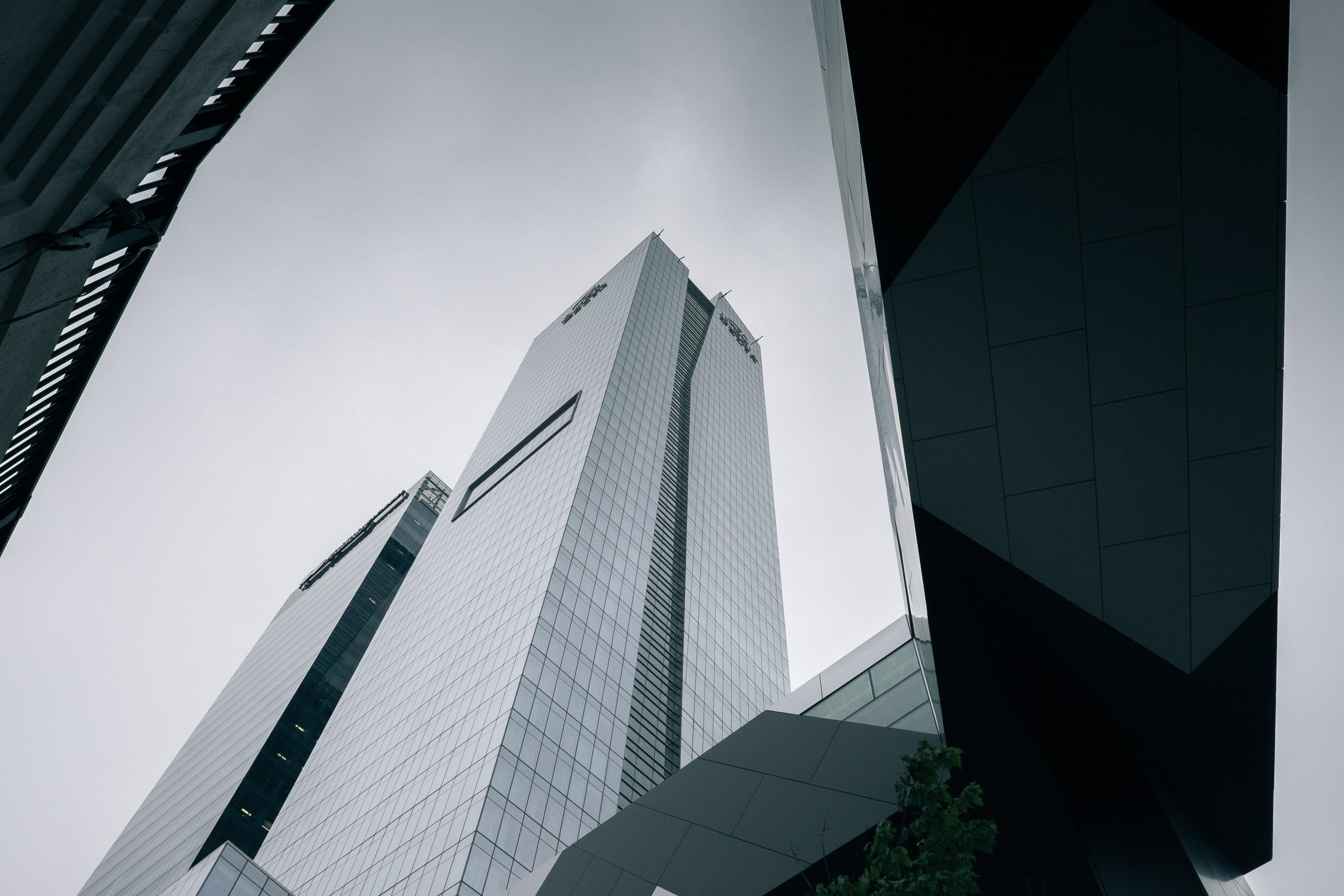 Embracing Innovation in Government Global Trends