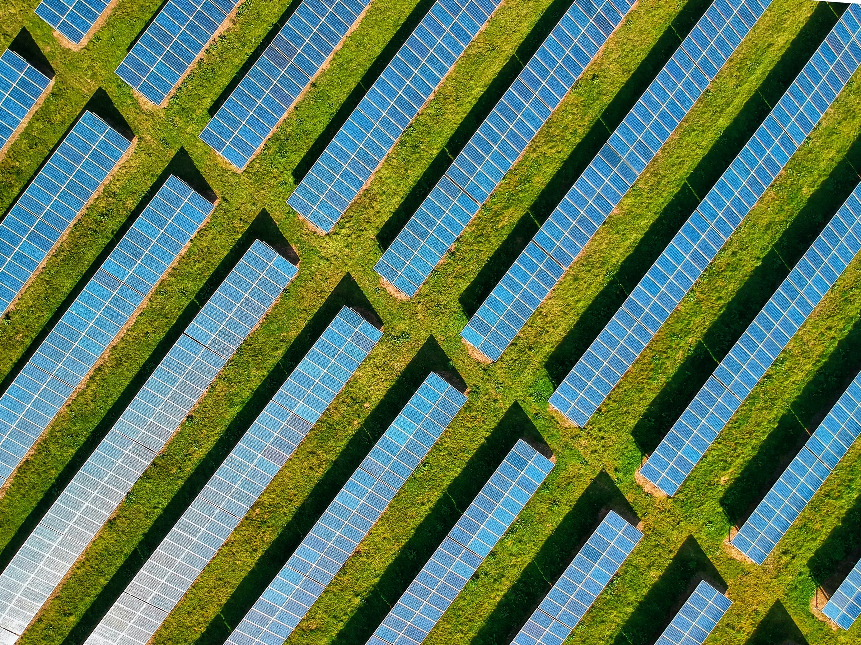 The Future of Renewable Energy