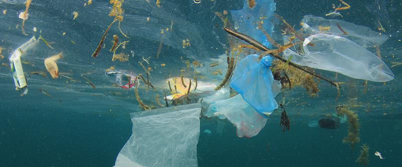 What needs to be done to protect the world’s oceans?