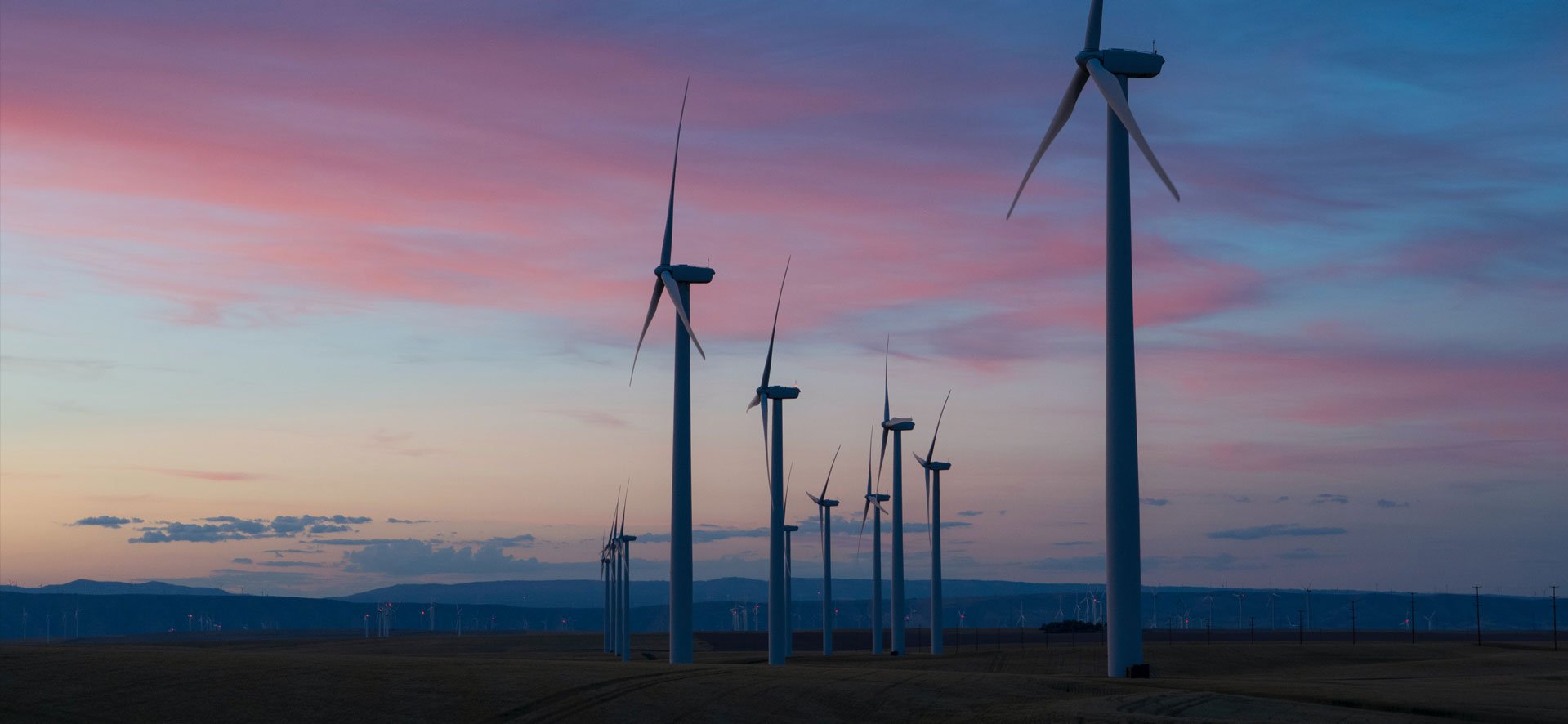 Pathways to Net Zero: Priorities for Governments