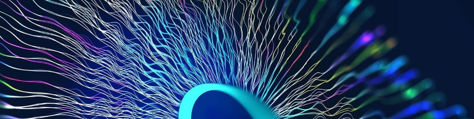 Closing the Gap in the Cyber Skills Domain